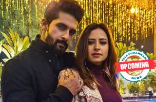 Ravi Dubey and Sargun Mehta