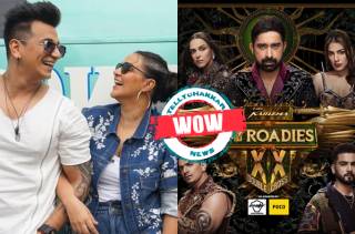 MTV Roadies