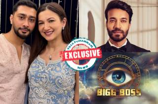 Gauahar Khan, Zaid Darbar