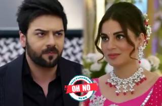 Oh No! Kundali Bhagya: Prithvi finds out the Reason why Preeta returned to the Luthra house!