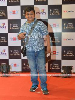 13th Indian Telly Awards