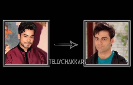 Karan Goddwani replaced Gautam Gulati in Diya Aur Baati Hum