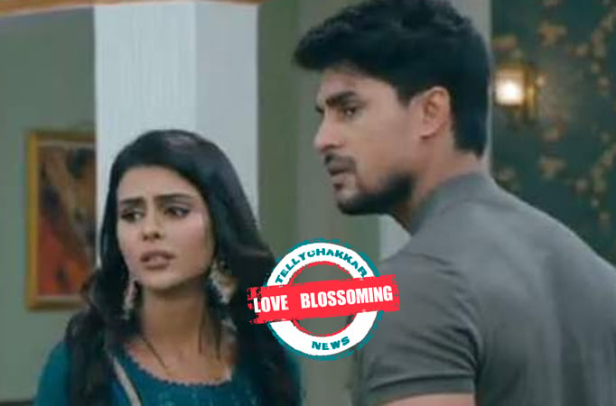 LOVE BLOSSOMING! Tejo RECONSIDERS Fateh's love and apology in Colors' Udaariyaan