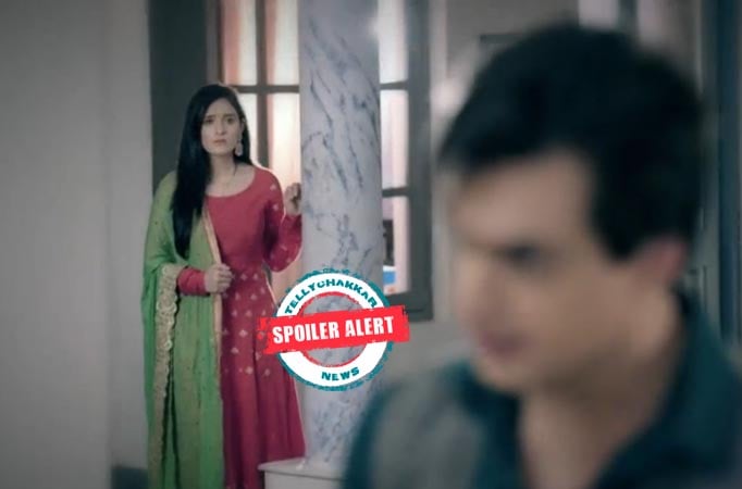 Yeh Rishta Kya Kehlata Hai: Kartik Naira and Vedika's life turns upside down on Karvachouth