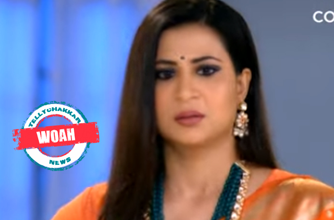 Spy Bahu: Woah! Veera reveals her intentions while everyone lies on the ground