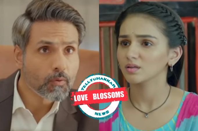 Na Umr Ki Seema Ho: Love Blossoms! Vidhi to confess her love to Dev