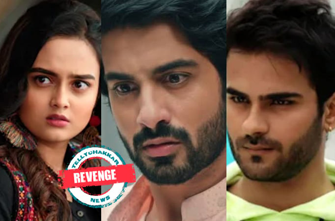 Yeh Hai Chahatein: Revenge! Vidyut decides to ruin Rudraksh and Pihuq