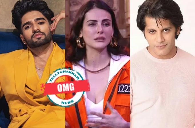 OMG! Lock Upp: Zeeshan Khan opens up on Mandana Karimi's shocking statement about Karanvir Bohra